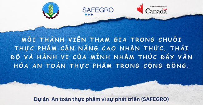 safegroproject.com