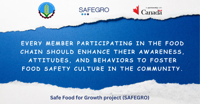 safegroproject.com