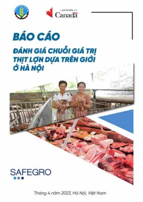 1211.1.Gender-based pork value chain assessment in HN report_VN