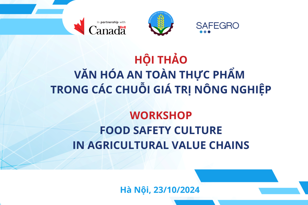 safegroproject.com